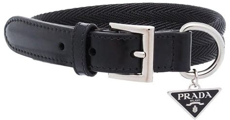 fake prada dog collar|luxury pet dog collar leather.